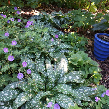 St. Paul Working Garden