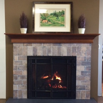 Mendota fireplaces and inserts