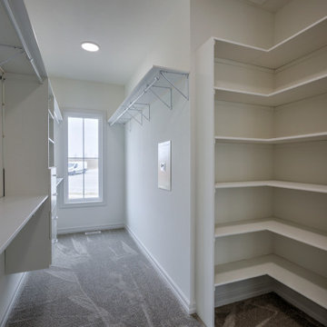Custom 1.5 Story