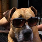 Melissa Waldhorn's photo