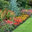 ABOVEALL  LANDSCAPING  FLOWERBEDS  STONE BORDERS