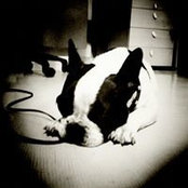 Stella Stasi's photo
