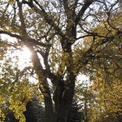 Becky Sorenson's photo