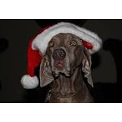 Carmen Swick's photo