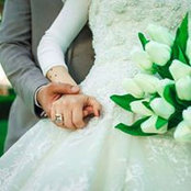 Nousi Bakr's photo
