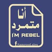 Aya Kamel's photo