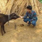 Pallav Jha's photo