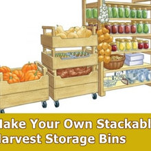 Harvest storage