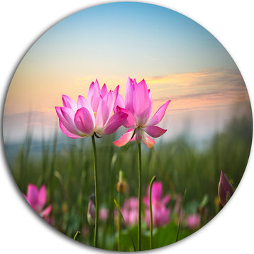 Blooming Lotus Flowers At Sunset, Floral Photo Round Wall Art, 11"