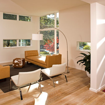 Edina Remodel