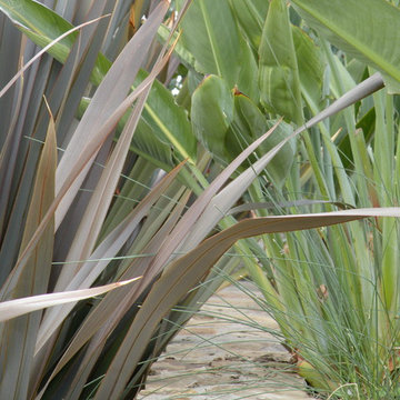Landscape Designs