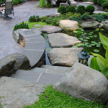 Pond Path