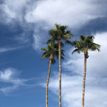 Arizona Artist Get-Away
