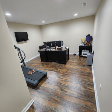 Basement Finish with Full bathroom addition and Office