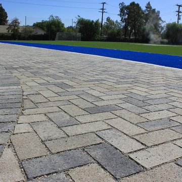 Custom Sport fields