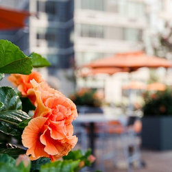 Fiberglass Planters - Products