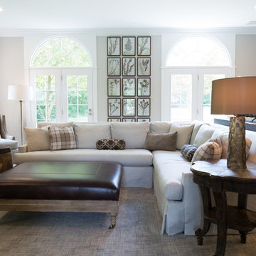 Zionsville Living Room and Sun Room