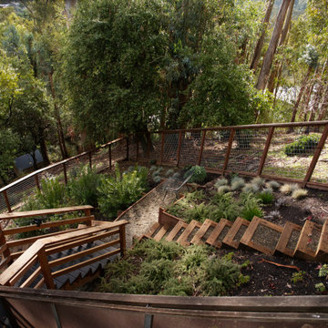 Woodland Rustic