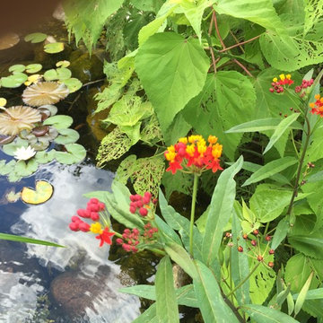 TJB-INC DISPLAY GARDENS