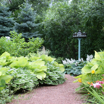 Paths & Walks