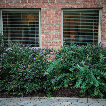 Landscape Designs