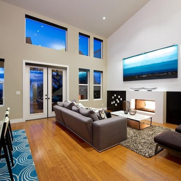 Torrey Hills Remodel