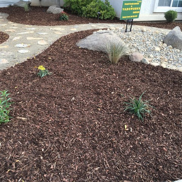Water wise landscape