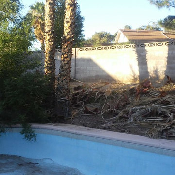 BACKYARD CLEANUP