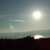 Tsu's photo