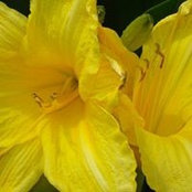 Debra McDonald's photo
