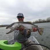 Scott Whitten's photo