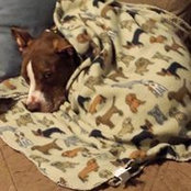 Debbie Hadaway-Bohl's photo