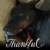Trisha Menzies's photo