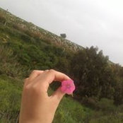أروى قنيبي's photo