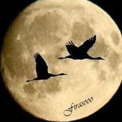 Firas Ahmed's photo