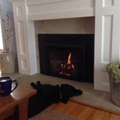 Ginna Calvin's photo