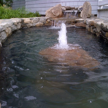 Koi Pond