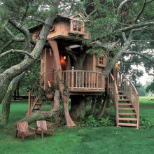cool treehouses