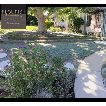 Homescaping Front yard transformation