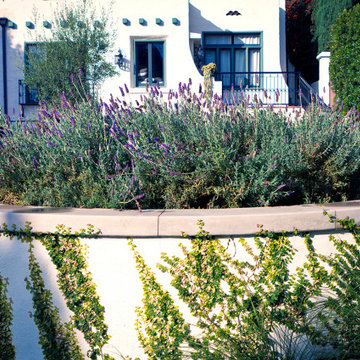 Mt Olympus Stylish Urban Oasis