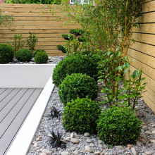 Landscaping Ideas