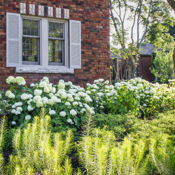 Airdrie Garden