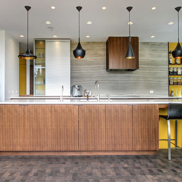 Contemporary Kitchen