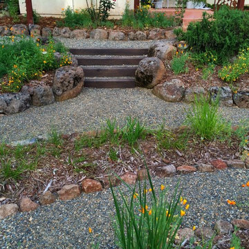 Steps & Pathways