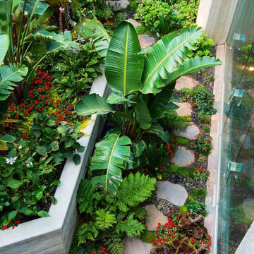 Tropical Modern Landscape