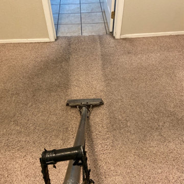 Five-Star Reviewed Carpet Cleaning in Tucson