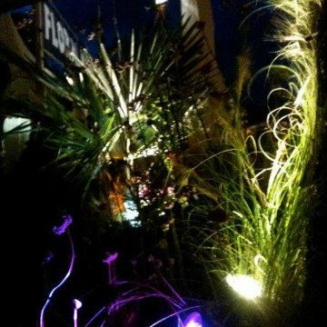 Photos from various show gardens