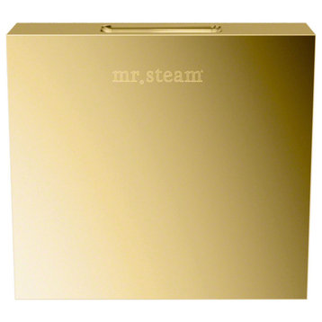 Mr Steam 104040 iTempo Square Steam Head Only - Polished Brass