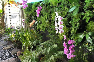 Orchid & Fern Living Wall