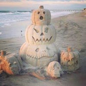 Nicole Steppy's photo